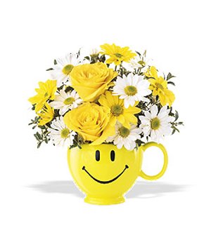 <b>Notice</b>: Undefined index: name in <b>/home/stranges/public_html/shop/vqmod/vqcache/vq2-catalog_view_theme_default_template_product_search.tpl</b> on line <b>386</b>